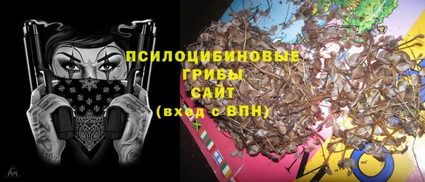 МДПВ Михайлов