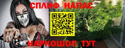 стаф Будённовск