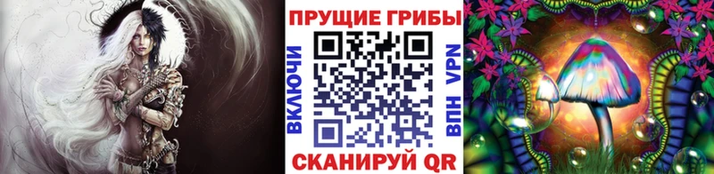 купить наркотик  Дмитров  Псилоцибиновые грибы прущие грибы 