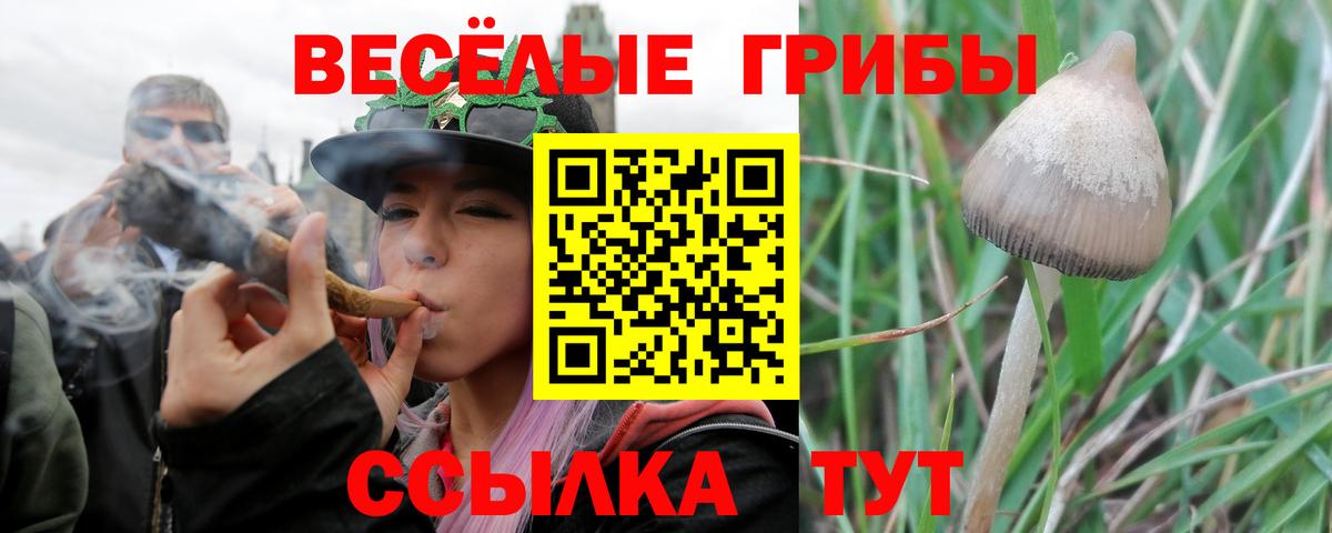 купить наркоту  Вход с VPN  Дмитров  Галлюциногенные грибы Psilocybine cubensis  Псилоцибиновые грибы ЛСД 